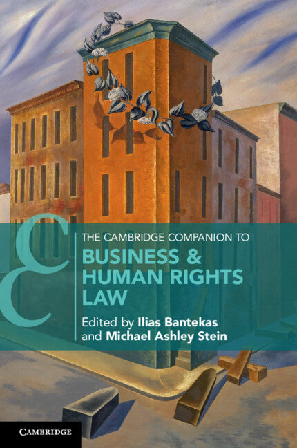 The Cambridge Companion to Business and Human Rights Law (Paperback / softback) 9781108820721