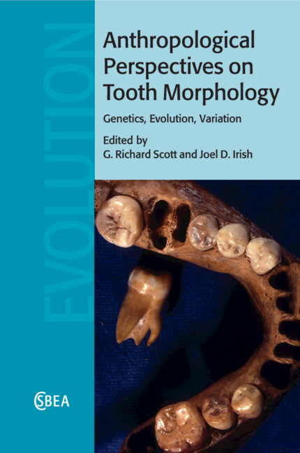 Anthropological Perspectives on Tooth Morphology; Genetics, Evolution, Variation (Paperback / softback) 9781108826525