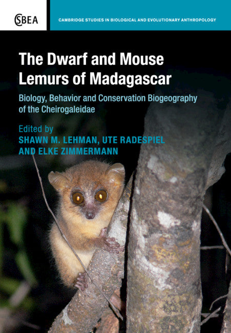 The Dwarf and Mouse Lemurs of Madagascar; Biology, Behavior and Conservation Biogeography of the Cheirogaleidae (Paperback / softback) 9781108828857