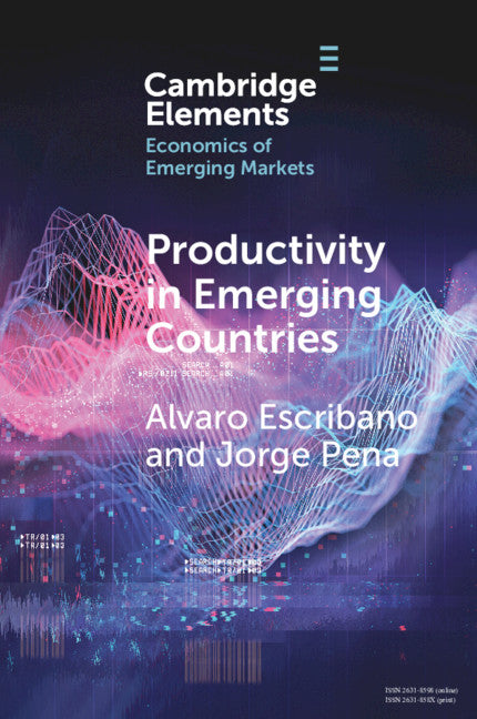 Productivity in Emerging Countries; Methodology and Firm-Level Analysis based on International Enterprise Business Surveys (Paperback / softback) 9781108829441