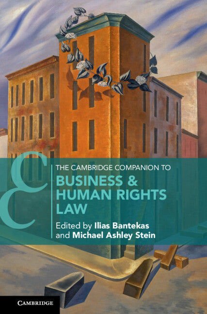 The Cambridge Companion to Business and Human Rights Law (Hardback) 9781108830379