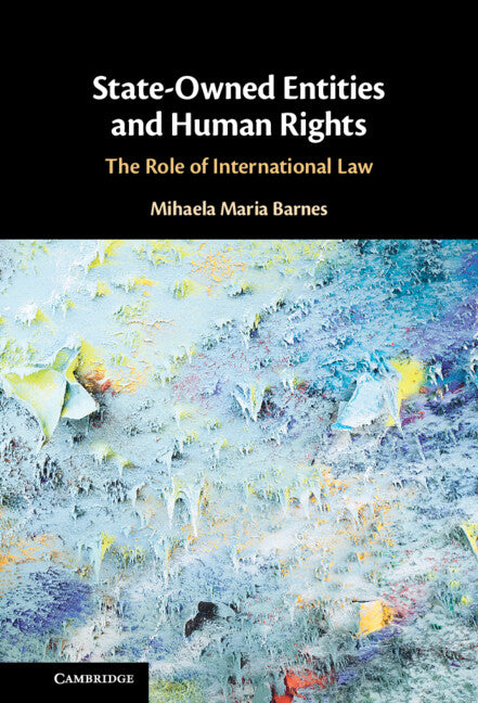 State-Owned Entities and Human Rights; The Role of International Law (Hardback) 9781108832878