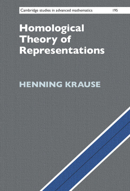 Homological Theory of Representations (Hardback) 9781108838894