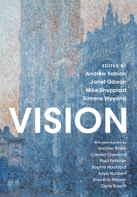 Vision (Paperback / softback) 9781108931021