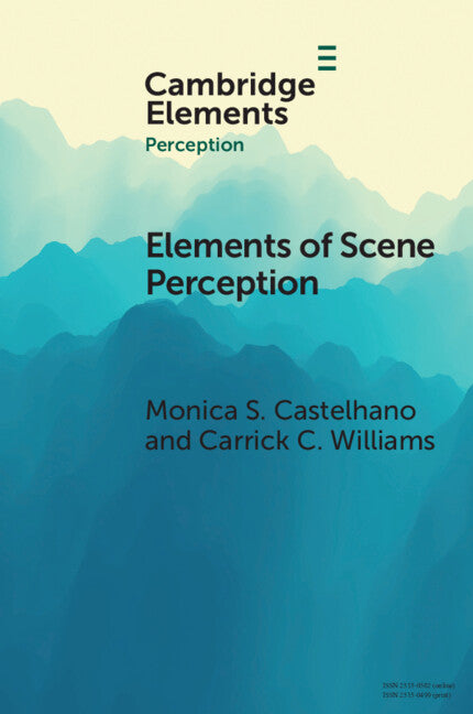 Elements of Scene Perception (Paperback / softback) 9781108932714