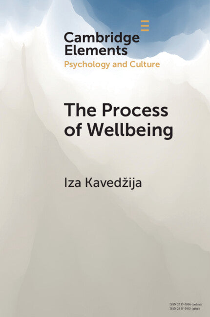 The Process of Wellbeing; Conviviality, Care, Creativity (Paperback / softback) 9781108940825