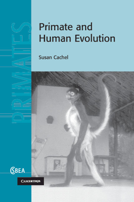 Primate and Human Evolution (Paperback / softback) 9781108949439