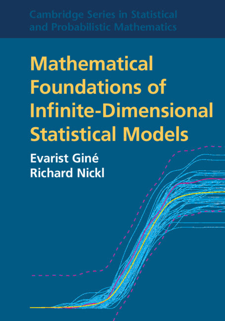 Mathematical Foundations of Infinite-Dimensional Statistical Models (Paperback / softback) 9781108994132