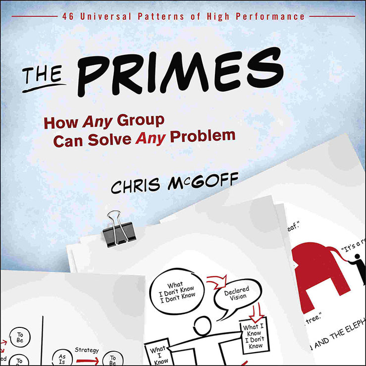 The Primes – How Any Group Can Solve Any Problem (Paperback / softback) 9781118173275