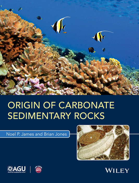 Origin of Carbonate Sedimentary Rocks (Paperback / softback) 9781118652732