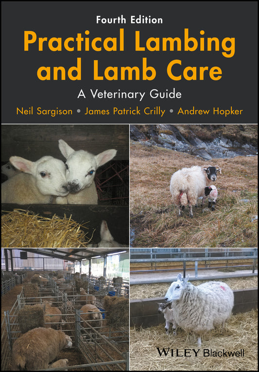 Practical Lambing and Lamb Care – A Veterinary Guide (Paperback / softback) 9781119140665