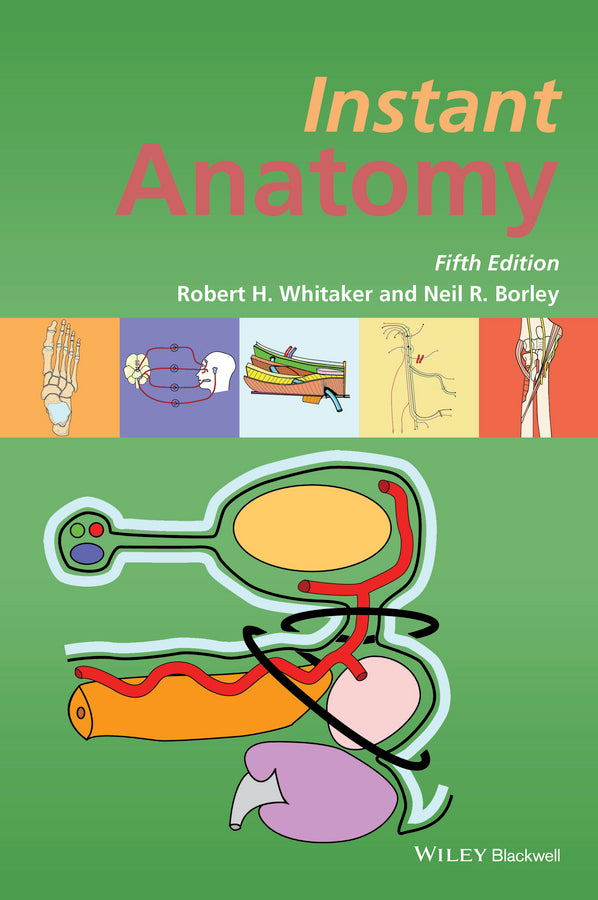 Instant Anatomy 5e (Paperback / softback) 9781119159384