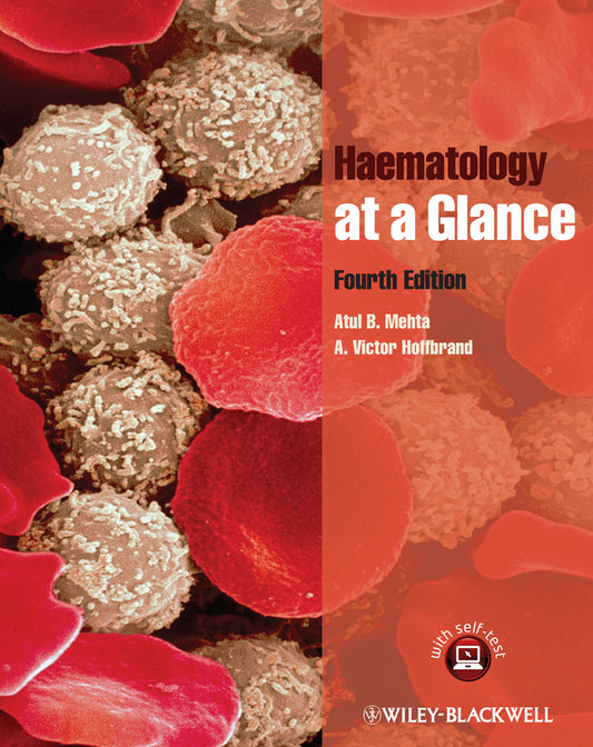 Haematology at a Glance (Paperback / softback) 9781119969228