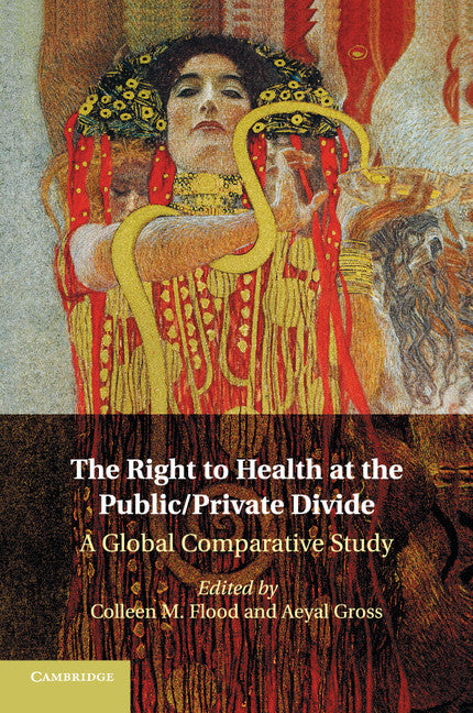 The Right to Health at the Public/Private Divide; A Global Comparative Study (Paperback / softback) 9781316507544