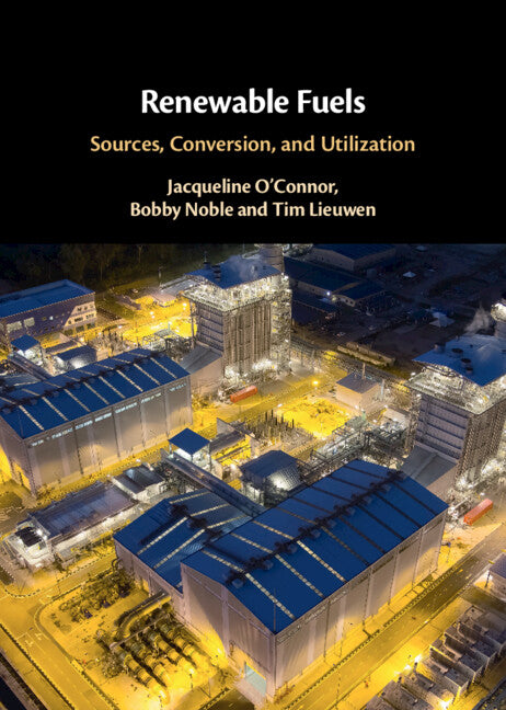 Renewable Fuels; Sources, Conversion, and Utilization (Hardback) 9781316512883