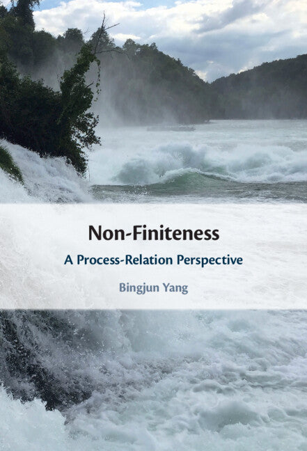 Non-Finiteness; A Process-Relation Perspective (Hardback) 9781316513415