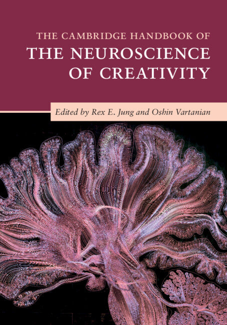 The Cambridge Handbook of the Neuroscience of Creativity (Paperback / softback) 9781316602102