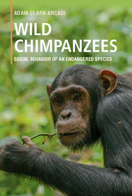 Wild Chimpanzees; Social Behavior of an Endangered Species (Paperback / softback) 9781316647561