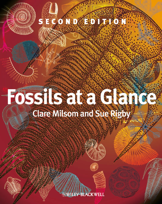 Fossils at a Glance (Paperback / softback) 9781405193368