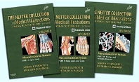 The Netter Collection of Medical Illustrations: Musculoskeletal System Package; Volume 6 (Multiple-component retail product) 9781416063780