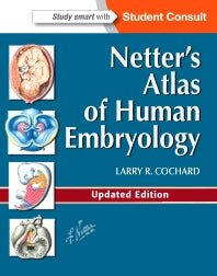 Netter's Atlas of Human Embryology; Updated Edition (Paperback / softback) 9781455739776