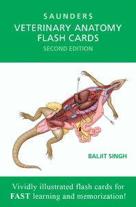 Veterinary Anatomy Flash Cards (Cards) 9781455776832