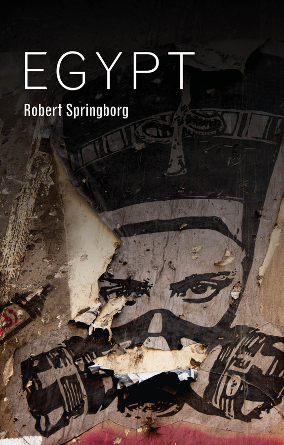 Egypt (Paperback / softback) 9781509520497