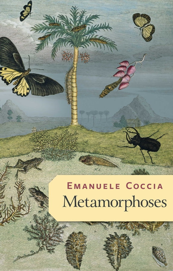 Metamorphoses (Paperback / softback) 9781509545674