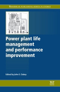 Power Plant Life Management and Performance Improvement (Hardback) 9781845697266