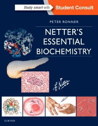 Netter's Essential Biochemistry (Paperback / softback) 9781929007639
