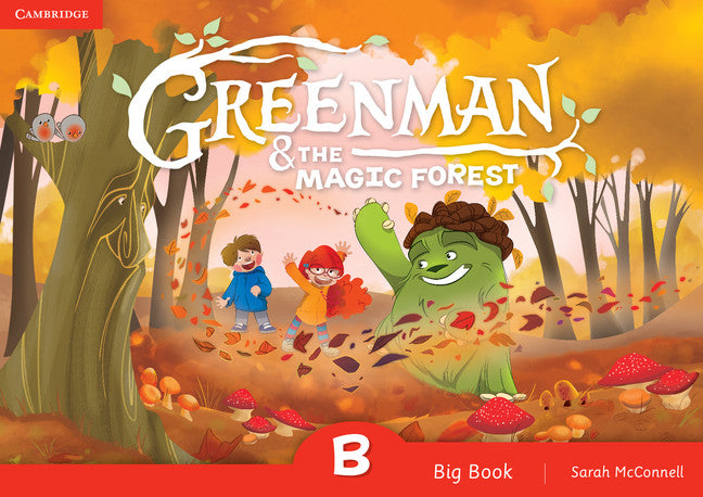 Greenman and the Magic Forest B Big Book (Big book) 9788490368350